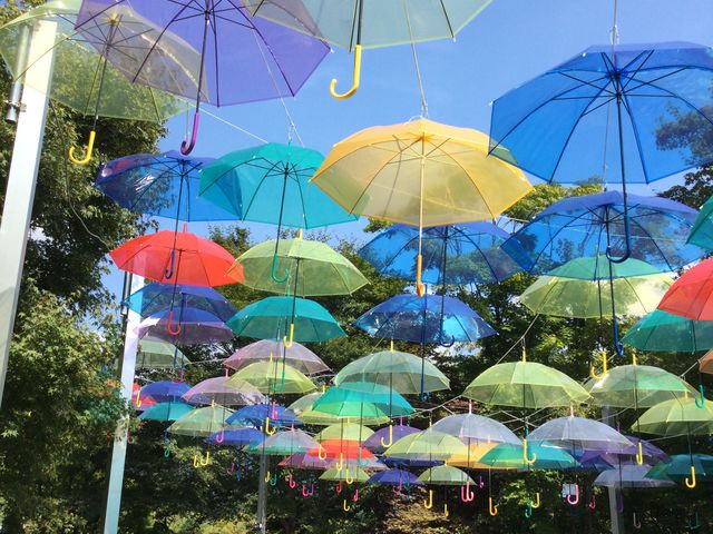 �A���u�����X�J�C1_�󓿎�