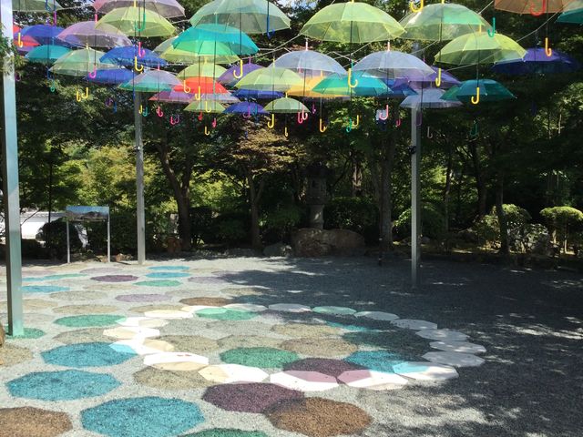 �A���u�����X�J�C2_�󓿎�