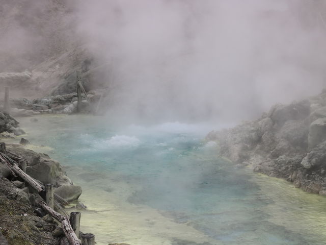 ʐ쉷򎩑RH@iksj_ʐ쉷򎩑RH