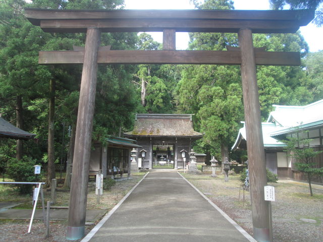 �����I�Ȕz�u�̎Q��_�ዷ�P�_��