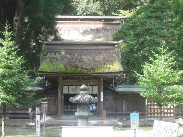 �ې����������������{�a_�ዷ�P�_��