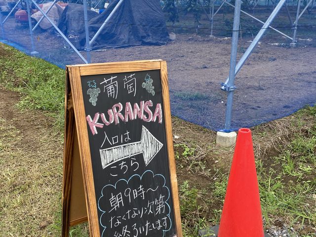 �菑���Ŕ�_���� KURANSA