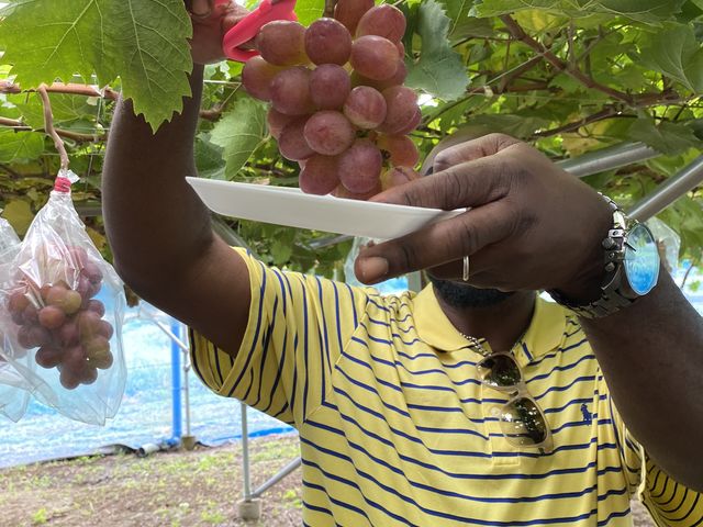 �C�O�ɂ͂Ԃǂ����͂Ȃ��炵���ł�_���� KURANSA