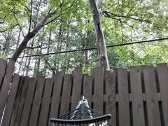 Ȃ܂̐X̓VTEi&IVCւ̓eʐ^1