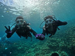 ݂[̐̓AJiT_CrOւ̓eʐ^1