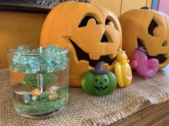 ݂CANDLEHOUSE ChouChouւ̓eʐ^2