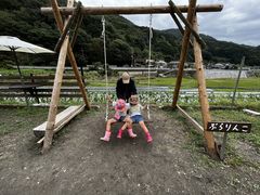 �͂邱�݂���̂������_���ւ̓��e�ʐ^1