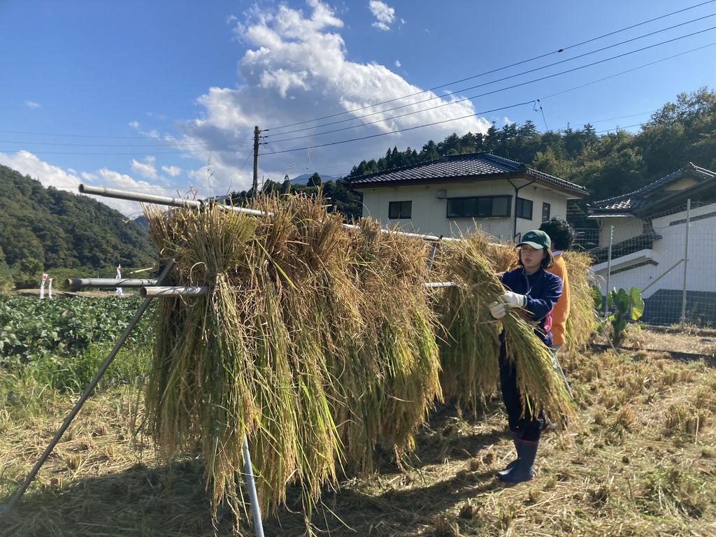 身延町（南巨摩郡）の果物・野菜狩りランキングTOP2 - じゃらんnet