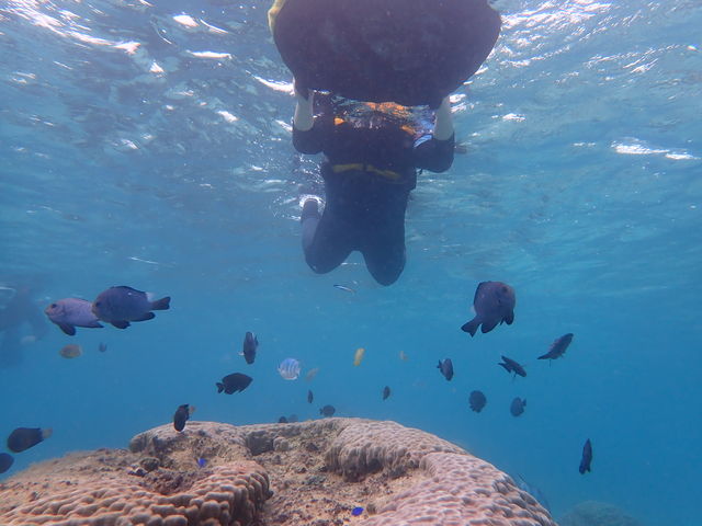 rrȂ瑫ȂŕKɕւɕ߂܂Ă܂B_A[XVbv