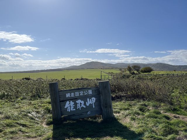 ���̔��Α�_�\�斦�C��