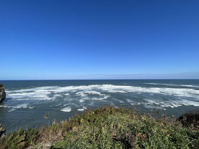 �I�z�[�c�N�C_�\�斦�C��