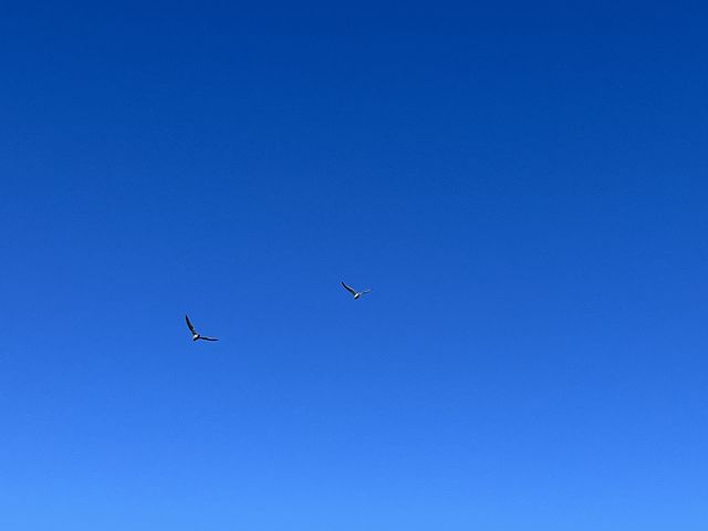 �󂪃L���C_�\�斦�C��