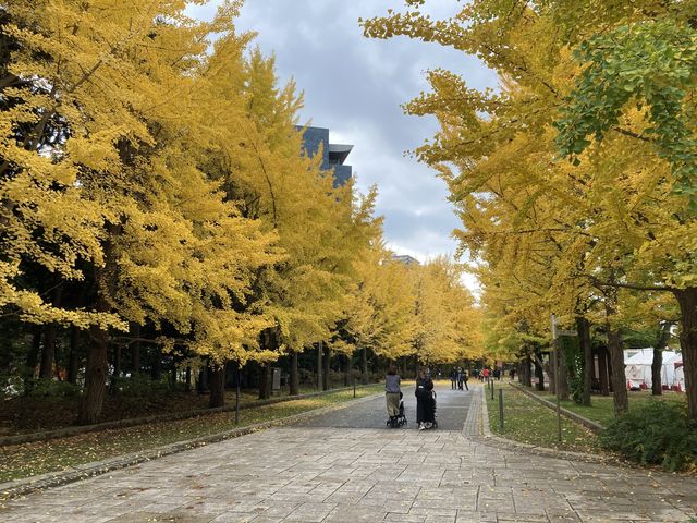 ������t�߂���̋�Ǖ��؂ł��B_��������