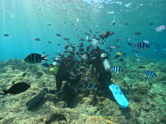 Ȃ̐̓AJiT_CrOւ̓eʐ^1