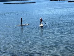 ܂̐ɓrto^jVCYTbvւ̓eʐ^1