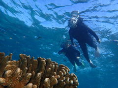 charmỹIN}irւ̓eʐ^1