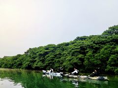 ݂񂳂OHCUSΊ_ւ̓eʐ^1