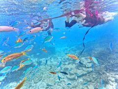 䂩񂲂POWER MARINEip[}jꍡAmւ̓eʐ^1