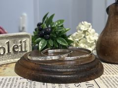 �����݂���̑��V���o�[�����O������̌� �r�W���I�y���ւ̓��e�ʐ^1