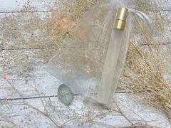 ݂Ƃ̃A}Ǝ肹񋳎RoomSealiahւ̓eʐ^1