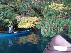 TOM̃BgJ̓]ւ̓eʐ^1