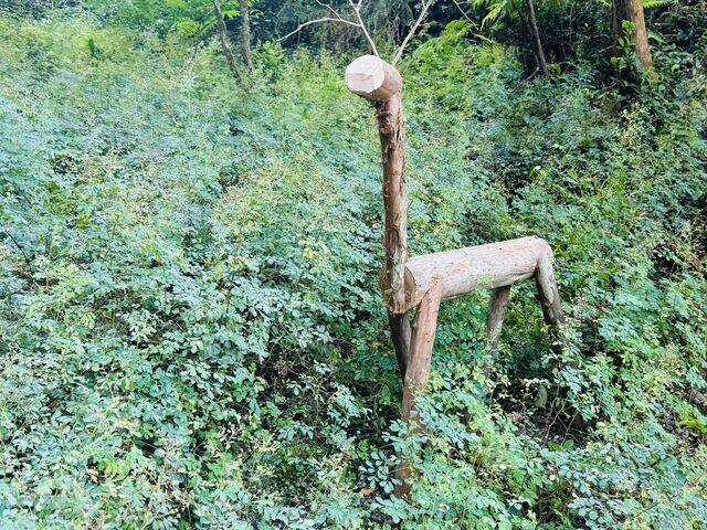 ���������R�[�X�ɂ��܂����B�X�^�b�t����Ƃ̂���_�z���C�g�n�E�X���B���b�W�E�o�M�[�p�[�N