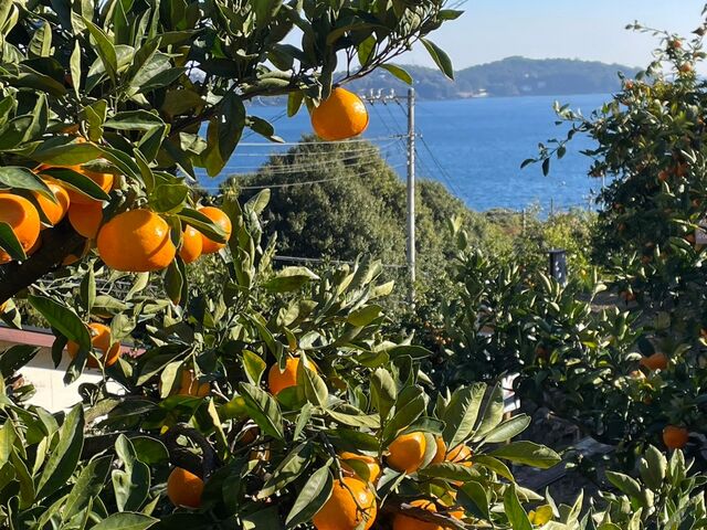 �C���o�b�N�Ɏʐ^���B��܂��B_���񂪂�A�O���p�[�N