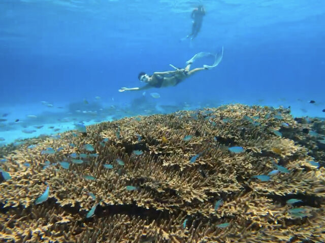 �X��������������񂢂�|�C���g�ɘA��čs���Ă���܂����I_�_���f���C�I������