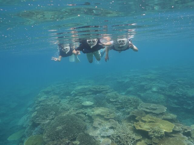 ���q���V���m�[�P�����O_�_���f���C�I������