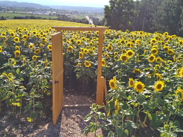 �Ȃ��Ђ܂�蔨