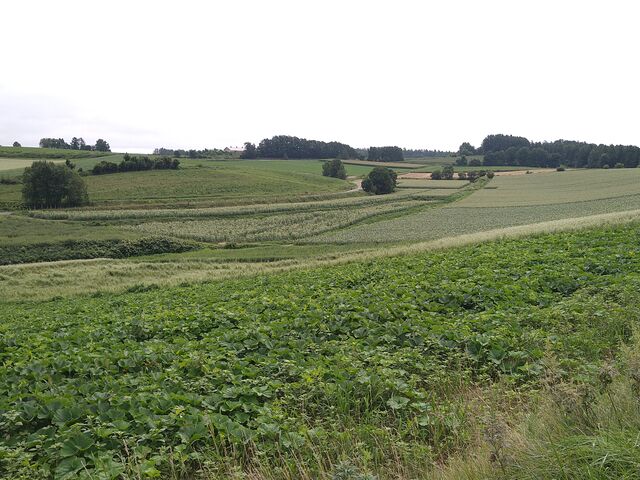 �p�m���}���[�h