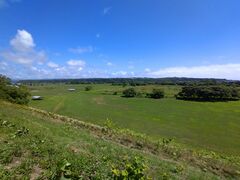 ������������̐V���T���u���b�h����ւ̓��e�ʐ^1