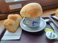 kaya̎uꍂRRւ̓eʐ^1