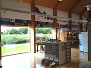 ������������̃T���x�c�����̓��e�ʐ^1