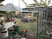 񂳂̃u[gYEJtF̓eʐ^5