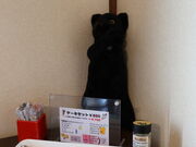 yosshỹLb`L̂ۂ݂̓eʐ^2