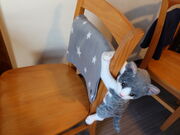 yosshỹLb`L̂ۂ݂̓eʐ^3