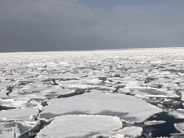 �K�����R������A��ʕX�B_���X