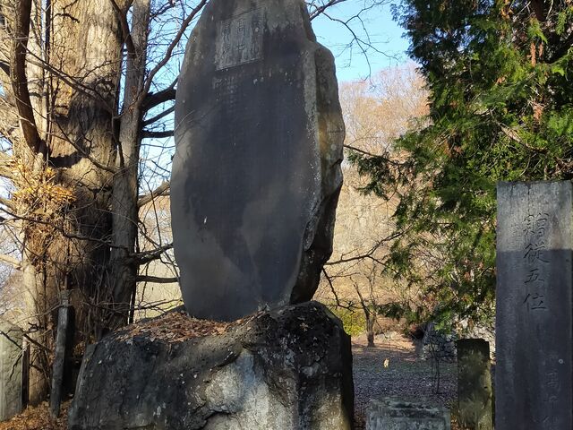 �⏼�@���R����_���䍃�R�L�O��