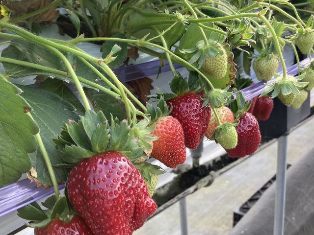 �I�̏�Ȃ̂ŁA���Ⴊ�܂Ȃ��Ă����̂����肪�����ł��B_�x�ÃA�N�A�t�@�[��