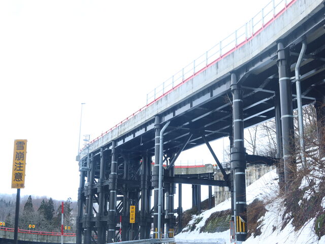 ���̉�����_�I�܊�]�勴