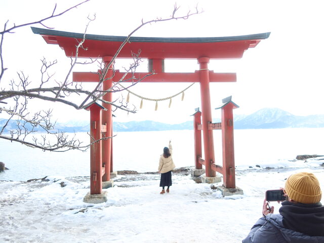 �������G�ɂȂ�_�c���