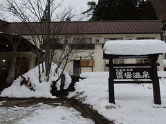 yosshy����̊I�ꉷ��i�������򋽁j�ւ̓��e�ʐ^1