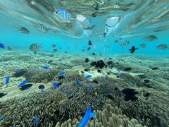 ܂߂̉}X^WIւ̓eʐ^1