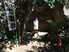 �x�s�d�������݂���̂قĂ��l�i��q��)�ւ̓��e�ʐ^1