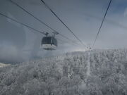 yosshy̑[vEFC̓eʐ^4