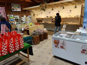 yosshy̓̉w яH΂̓eʐ^2