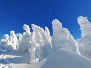 [񂳂̔bc[vEF[̓eʐ^3