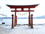 yosshy̌ΐ_Ђ̓eʐ^2