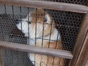 yosshy̓c΋hpX̓eʐ^2